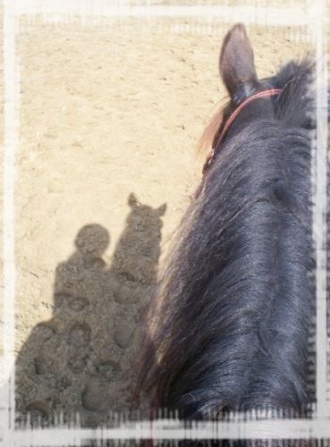 photo par maude27