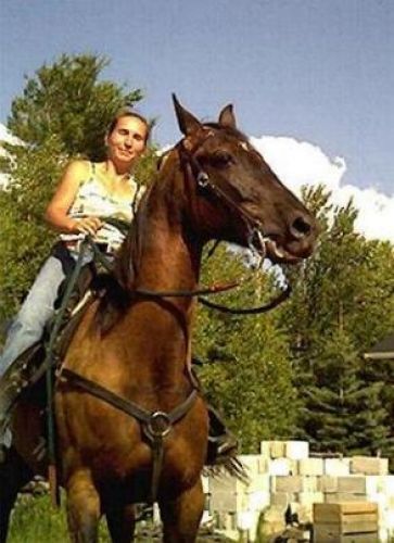 Une cavalière et son cheval brun