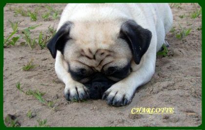 Sur cette photo là elle me fait "craquer"! :)