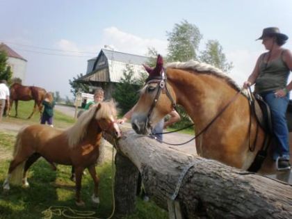 c'est l'amour!!!!!!!!!!!!!!!!!!!!!Avec un grand A