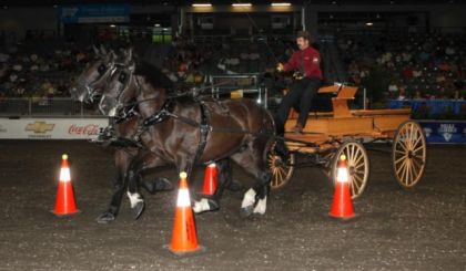 Notre parcours en double, Expo Québec 2009