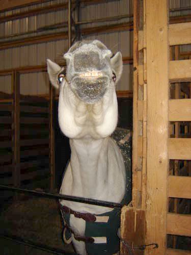 Le beau Montana qui sourit ....cheese!!!