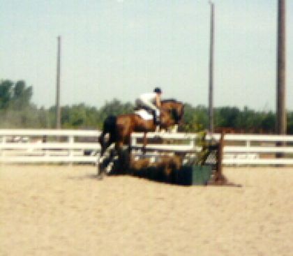Cavalière en CSO