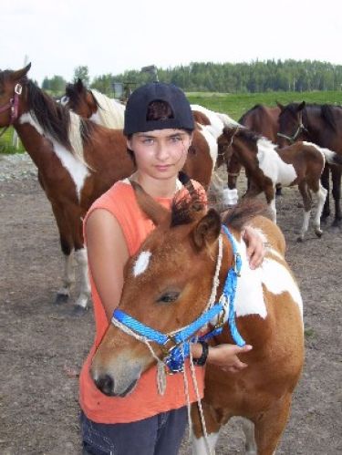 Une fille et son cheval paint