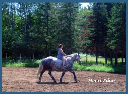 Une tentative sans selle au trot...Pour ce qui est de ma tenue...