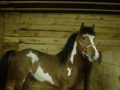 bodey sexey hin jess :P encore Toupet! :)