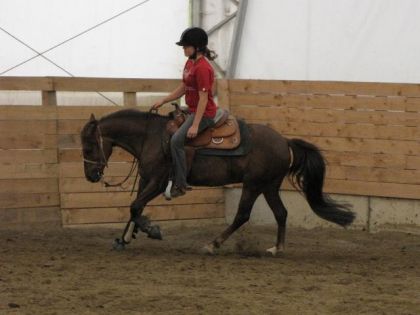 Aux portes ouvertes des fermes du QC Kyrielle et Jade