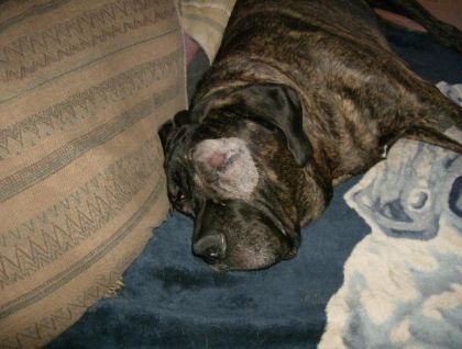 mon amour apres son operation:(