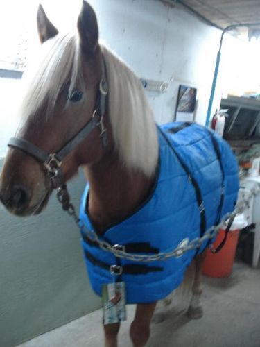 Ah ah! ^^ Voici mon tit amour avec son nouveau manteau :O :D 