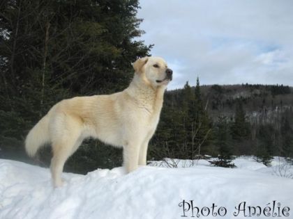 On a hâte a la neige !! ( photo l'année dernière =D )