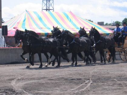 Notre '6' à Trois-Rivière. Été 2009 -  (Propriétaire: Pierre...
