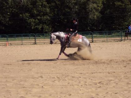 Ma coach cet été avec sa jument en reining! J'aimerais que ma...