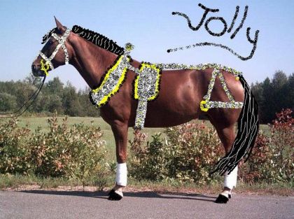 Jolly avec sa petite attelage du dimanche...! LOL .