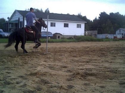 Mario Jr au trou de serrure... on dirait que le cheval veut...