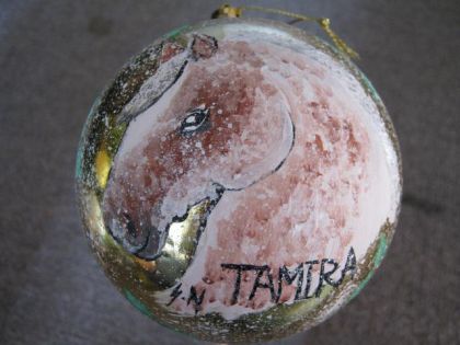 Boule De Noel Que J'ai Peinturer Cheval Tamira !!!