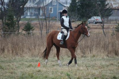 photo par Élodiie moi au trot sur Toby