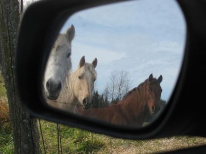 J'aime bien le concept de cette photo prise par mon chum!!!