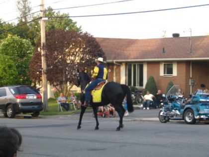 le plus beau cheval noirs que jai vu de ma vie :O lolll parade...