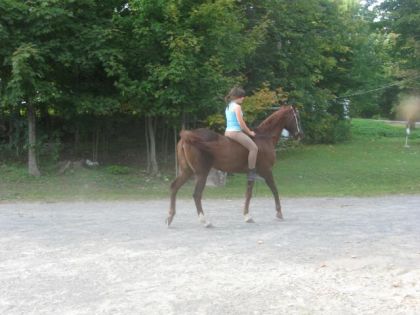 Daisy et moi !! (jument de mon amie)