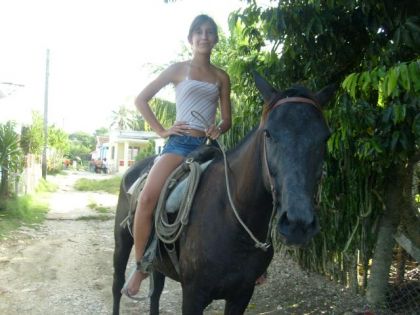 ( ce n'est pas mon cheval ! )