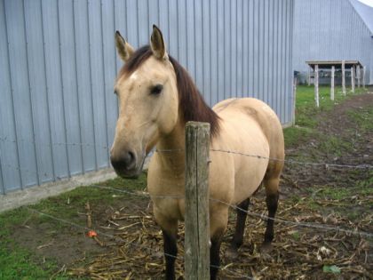 la belle jessy :) hihihi