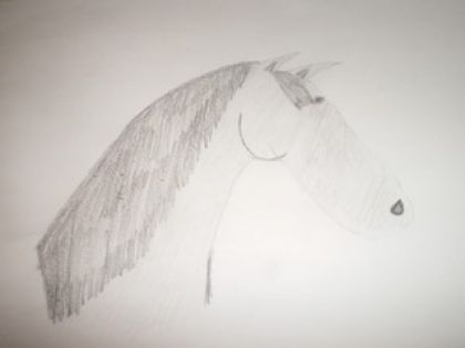 Un petit dessin que j'ai faite pouver vous me donner des conseil...