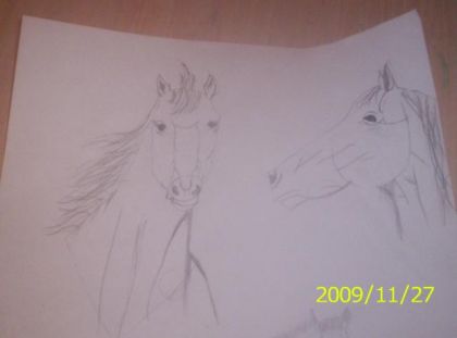Deux chevaux que j'ai dessiner  vous en penser quoi ? :)