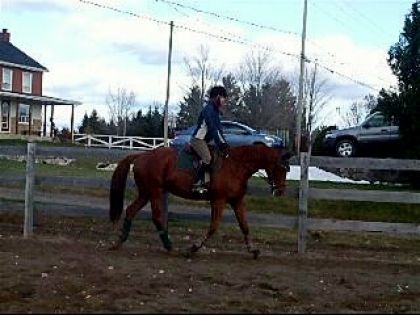Je suis vraiment fi&egrave;re de mon ti-loup !!