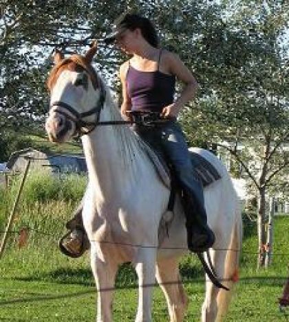 Une fille sur une jument