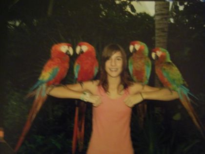 Moi avec 4 perroquets pendant mon voyage au Mexique