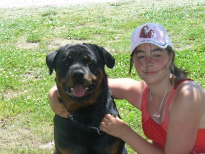 Sa c'est mon chien shadow c'est un rottweiller pis y'a 1 1/2 pis...
