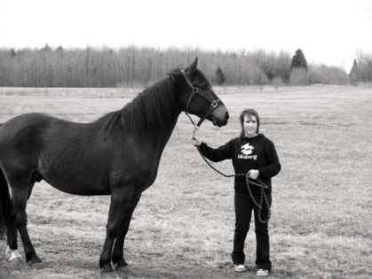 la deuxième journée que mon cheval venait darriver a...