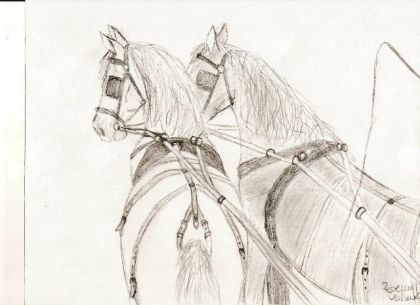chevaux de trai attelé