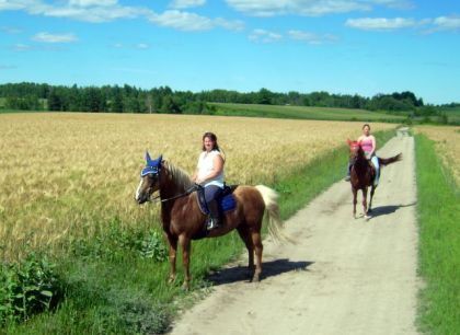 Ma copine m'avait prêtée Grongo le cheval de son t'chum. Pis y...
