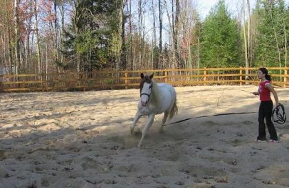 maya continue d'apprendre a chaque jour.