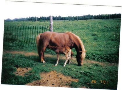 elle commencait a Peinee de boire apres sa maman... =)