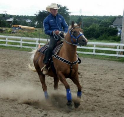 Cavalier et cheval avec ensemble bleu