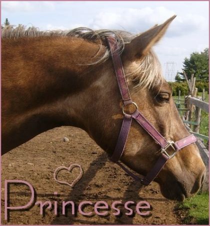 Princesse