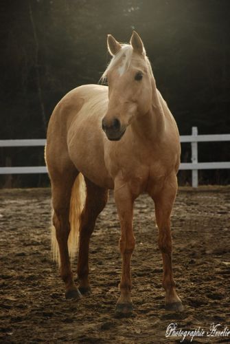 Une belle photo de Bonny prise aujourd'hui. Je l'adore vraiment.