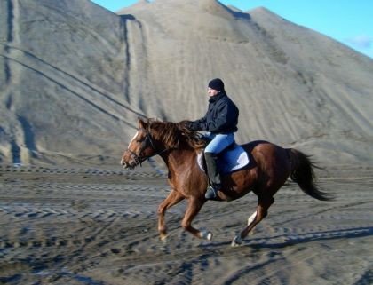 Galop aujourdhui dans le pit de sable. Maudite belle journée pas...