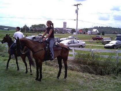 Un petit couple de cowboys qui prennent ça à coeur...