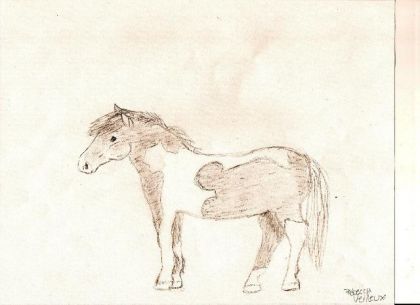 poney paint
