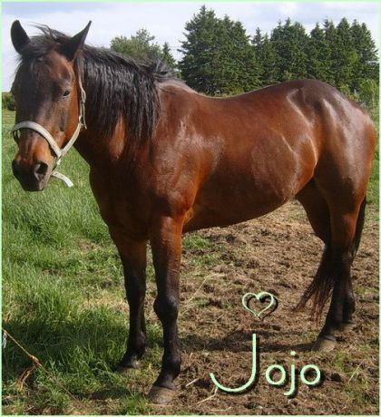 Jojo
