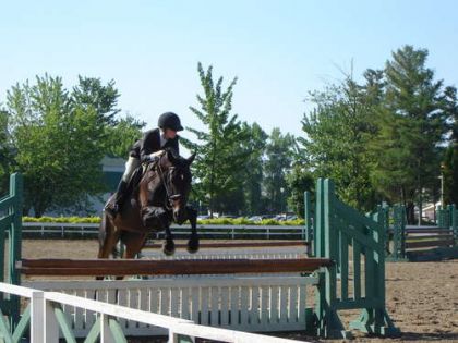 Marley au saut  à Blainville...elle est tellement belle au saut...