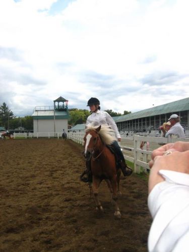 Un jolie galop (mais la tete un peu haute)