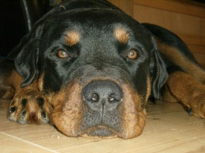 Grosse face !