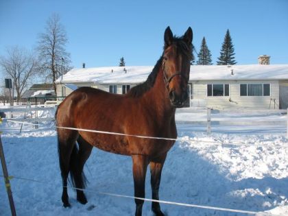 Mia dans la neige!
