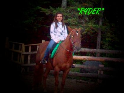 montage de moi et mon cheval