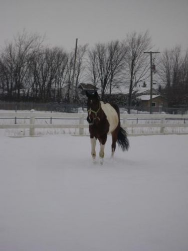 DOUDOUNEE en hiver (L)