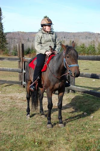 Première monte sur Badit Killean, un Standardbred de 6 ans. ...